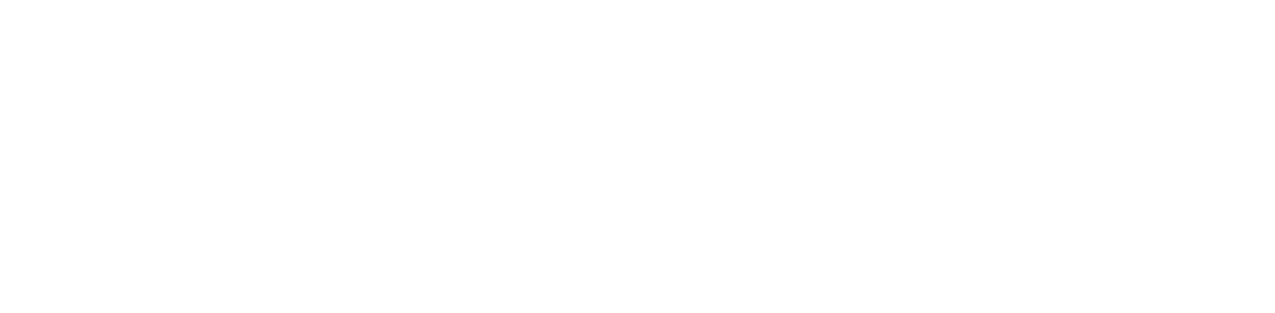 RO LAW LLC